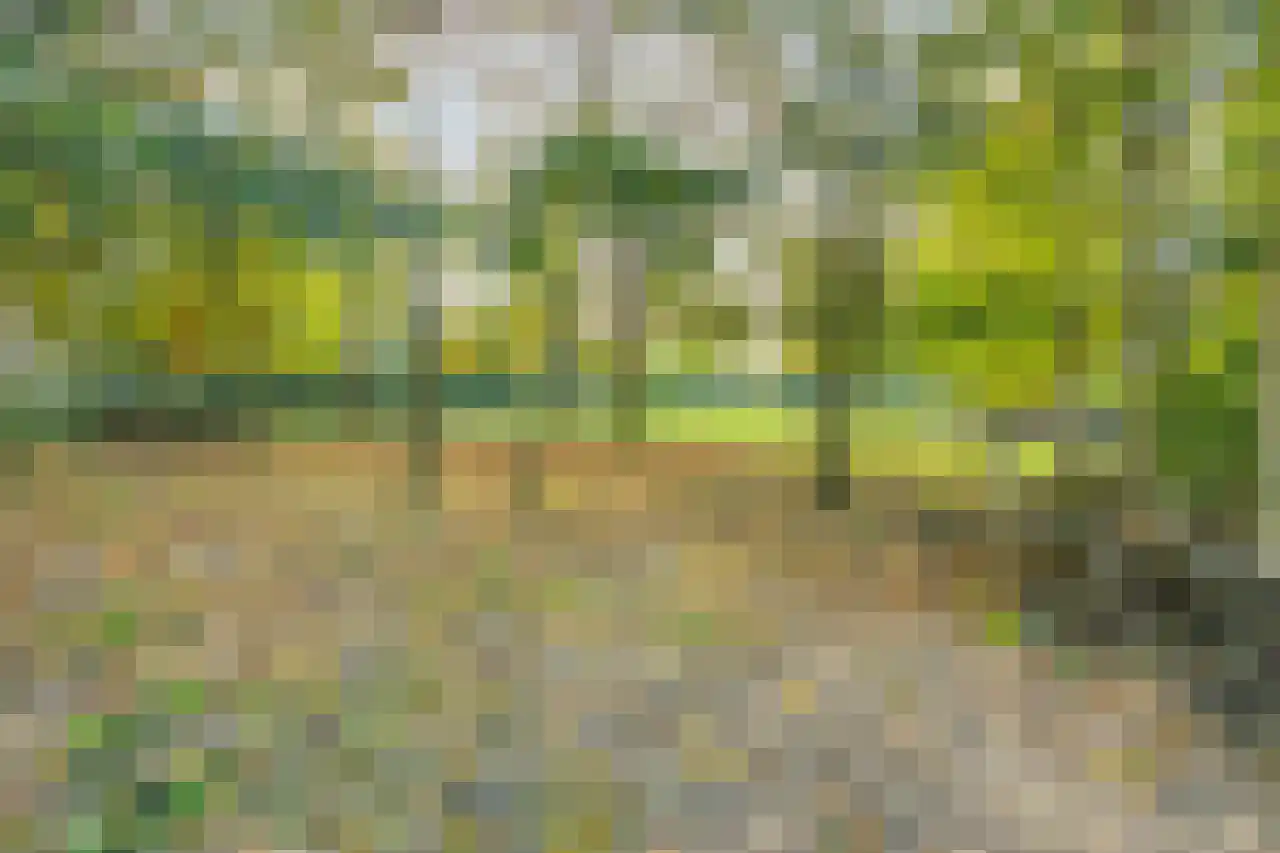 Grensstraat 1 Landgraaf thumbnail 41
