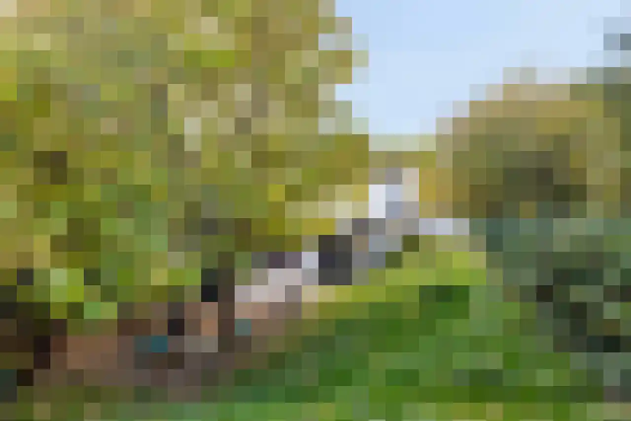 Grensstraat 1 Landgraaf thumbnail 44