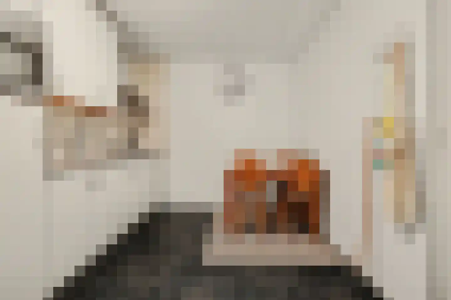 Grensstraat 1 Putte thumbnail 23