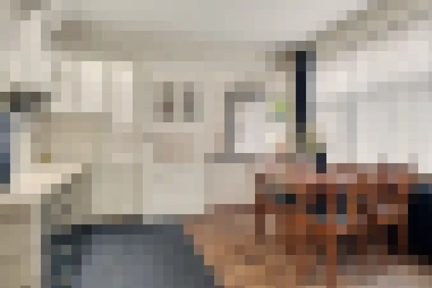 Grensstraat 1 Putte thumbnail 4