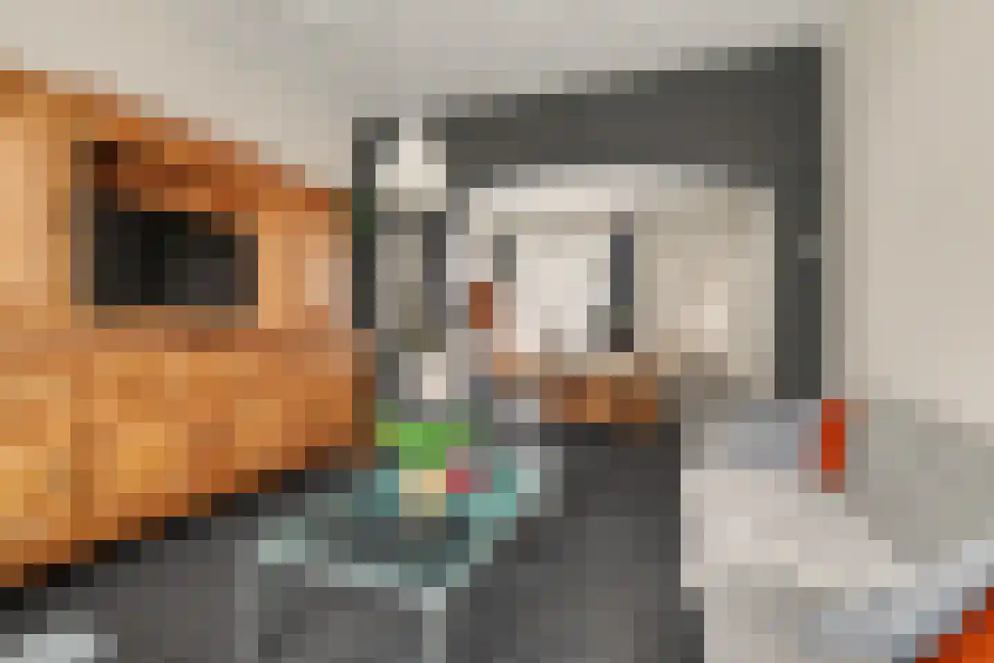 Grensstraat 1 Putte thumbnail 8
