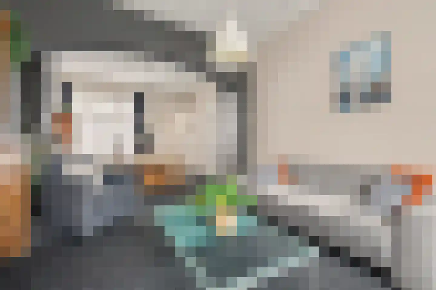 Grensstraat 1 Putte thumbnail 9