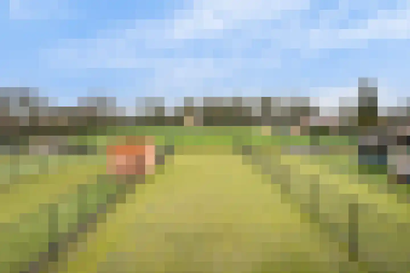 Grensstraat 10 Nispen thumbnail 43