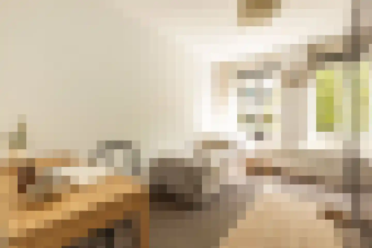 Grensstraat 108 Amsterdam thumbnail 22