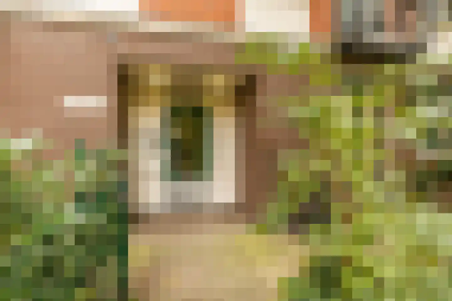 Grensstraat 110 Amsterdam thumbnail 28