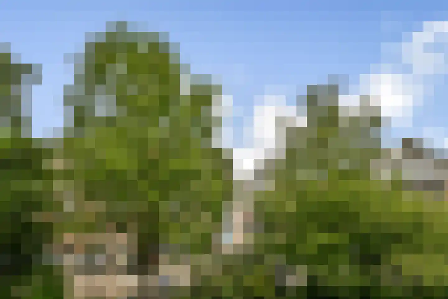 Grensstraat 18 3 Amsterdam thumbnail 17