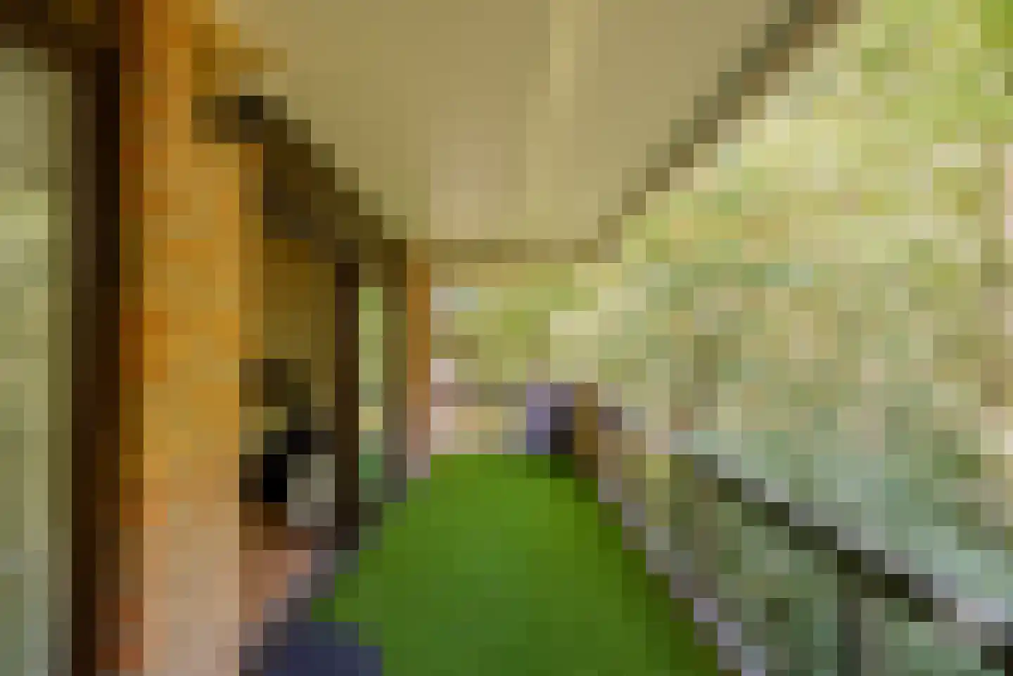 Grensstraat 2 A/H3 Putte thumbnail 19