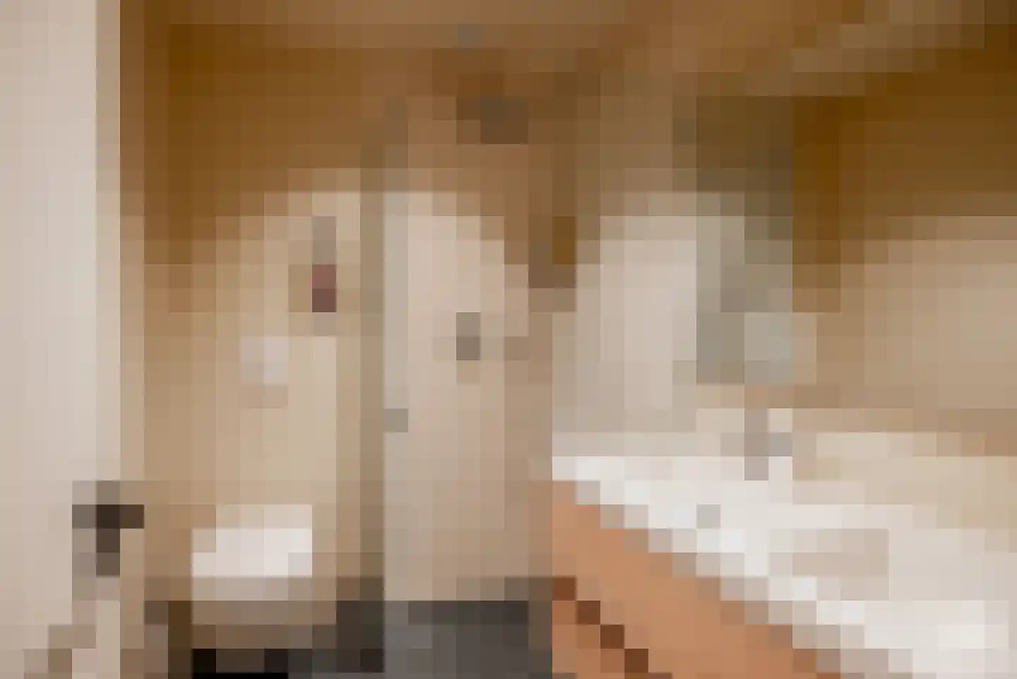 Grensstraat 2 A/H3 Putte thumbnail 20