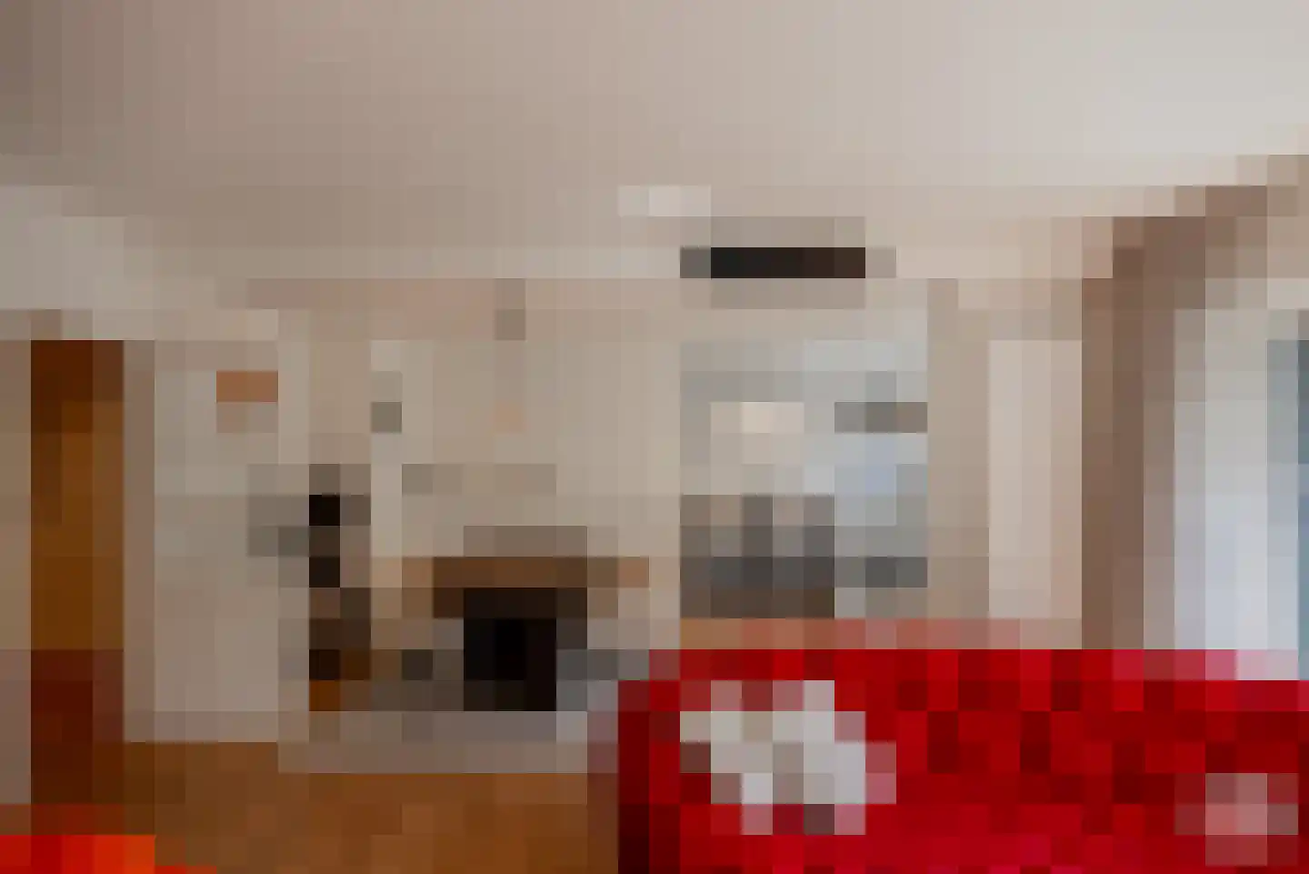 Grensstraat 2 A/H3 Putte thumbnail 6