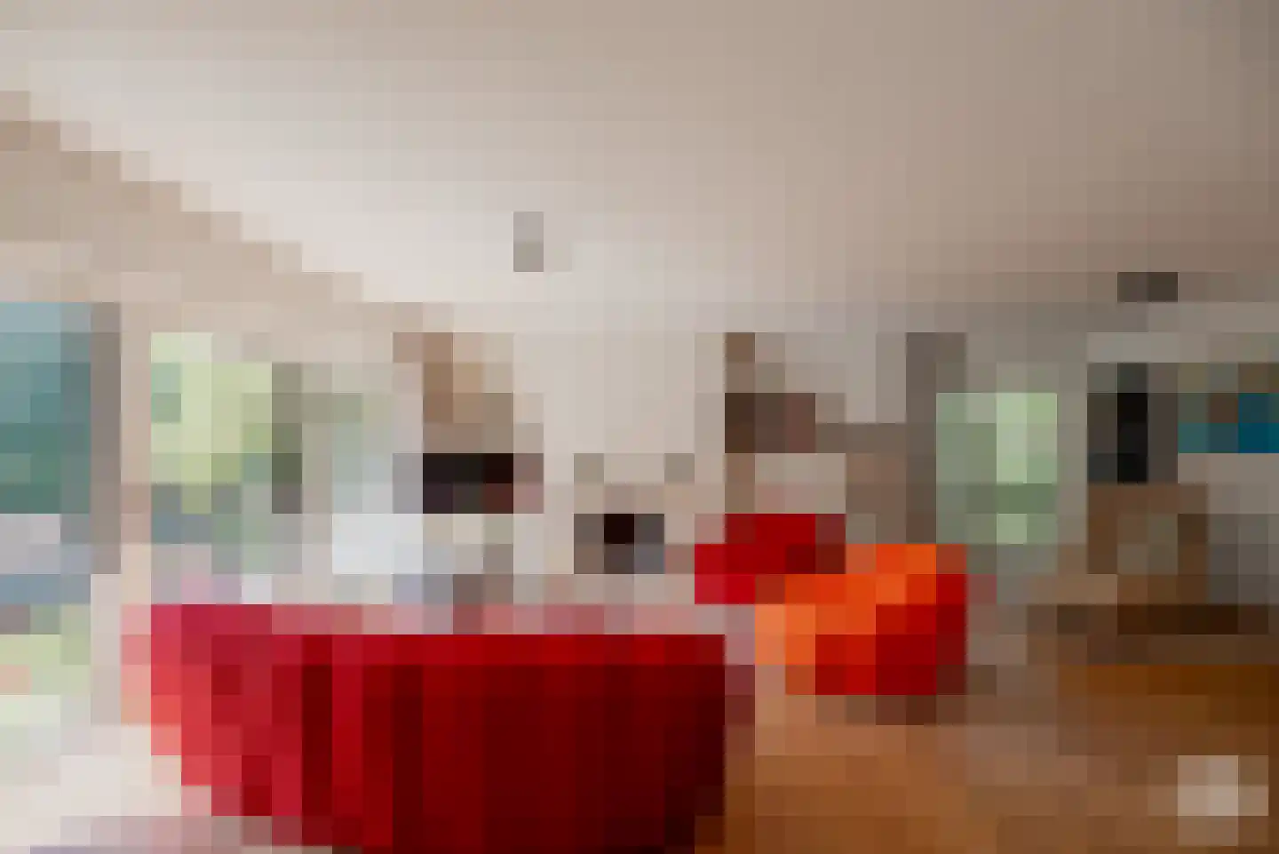 Grensstraat 2 A/H3 Putte thumbnail 8