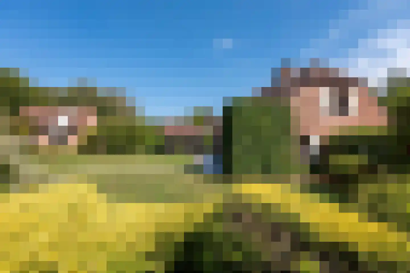 Grensstraat 25 Rasquert thumbnail 4