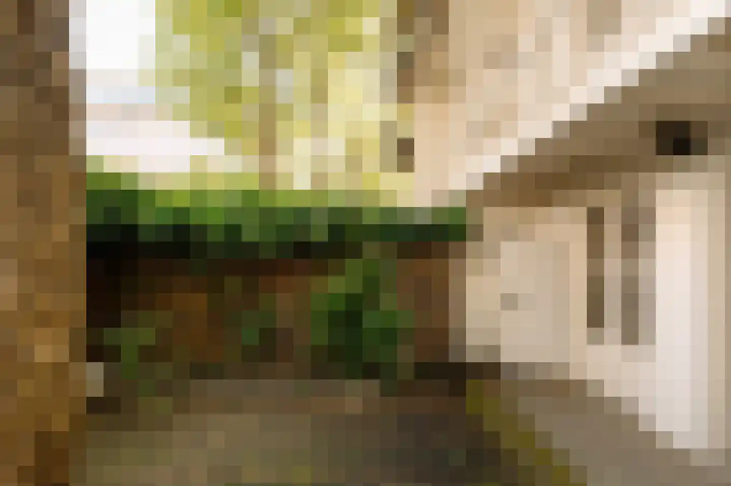 Grensstraat 27 1 Amsterdam thumbnail 32