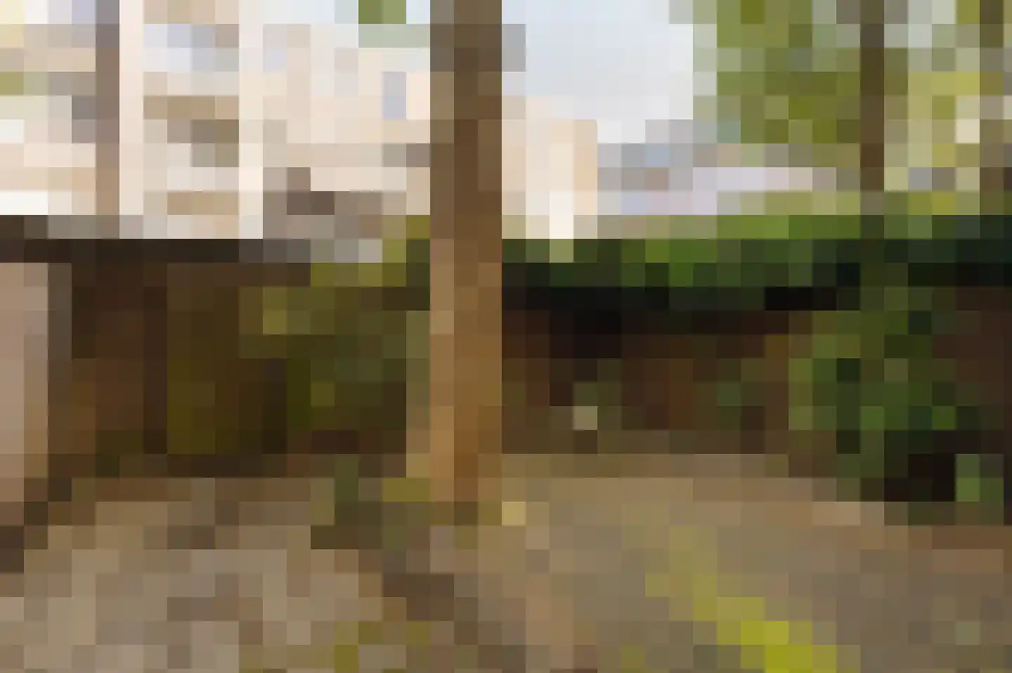Grensstraat 27 1 Amsterdam thumbnail 5