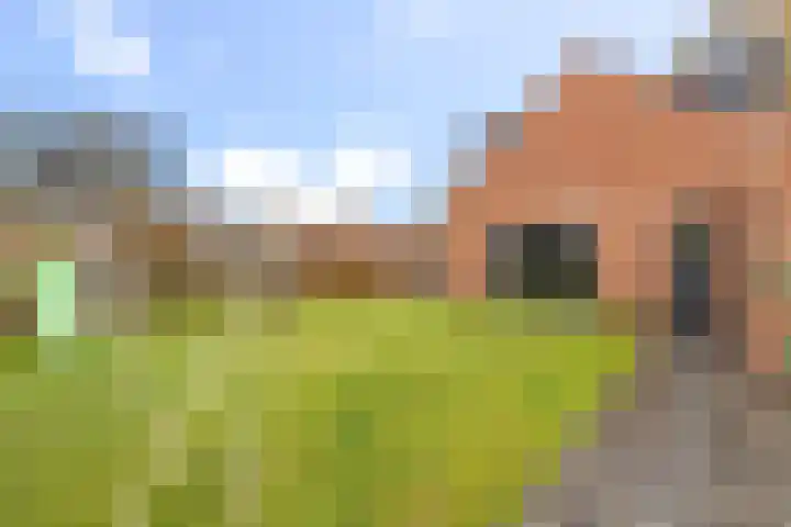 Grensstraat 3 Nispen thumbnail 46