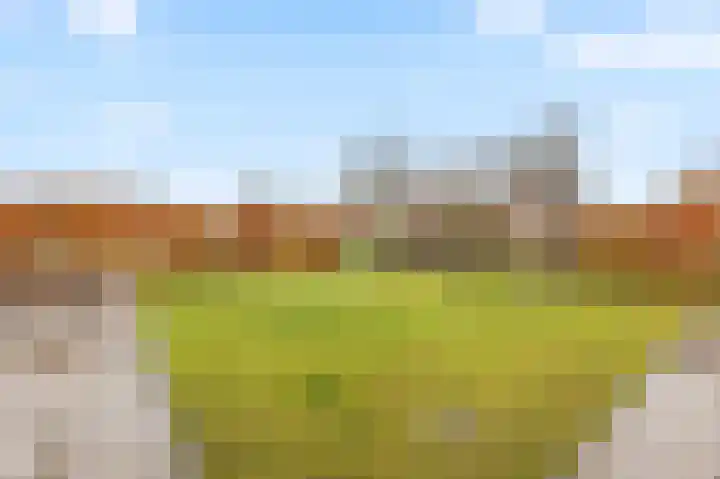 Grensstraat 3 Nispen thumbnail 5