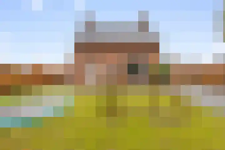 Grensstraat 3 Nispen thumbnail 52
