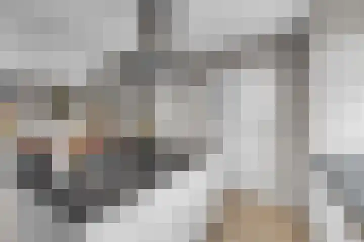 Grensstraat 3 Nispen thumbnail 9