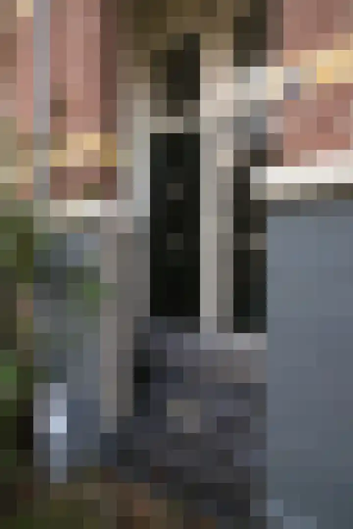 Grensstraat 31 3 Amsterdam thumbnail 16