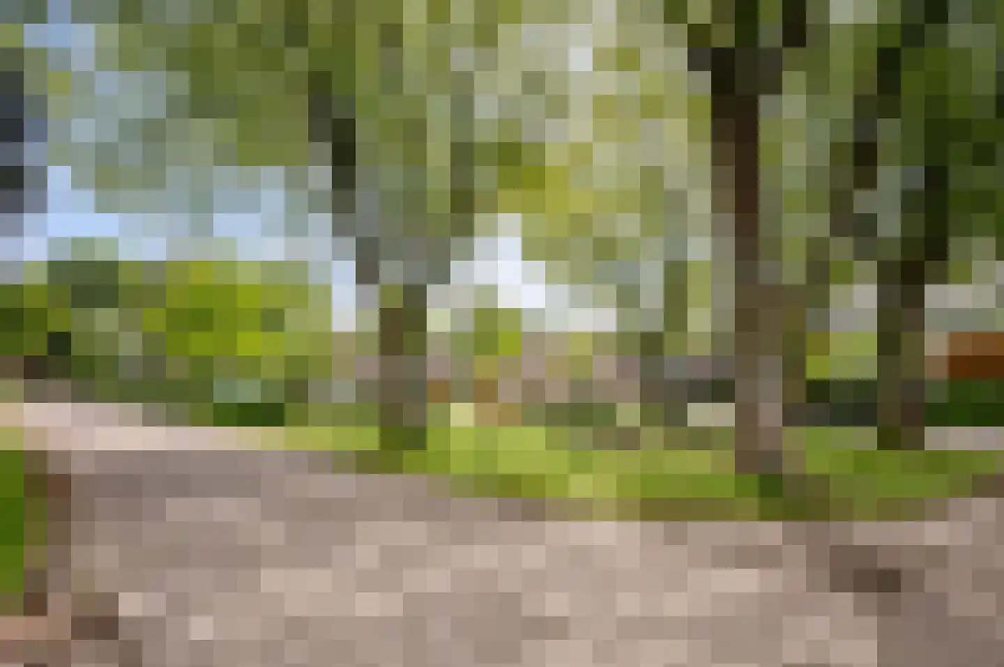 Grensstraat 37 Nispen thumbnail 16