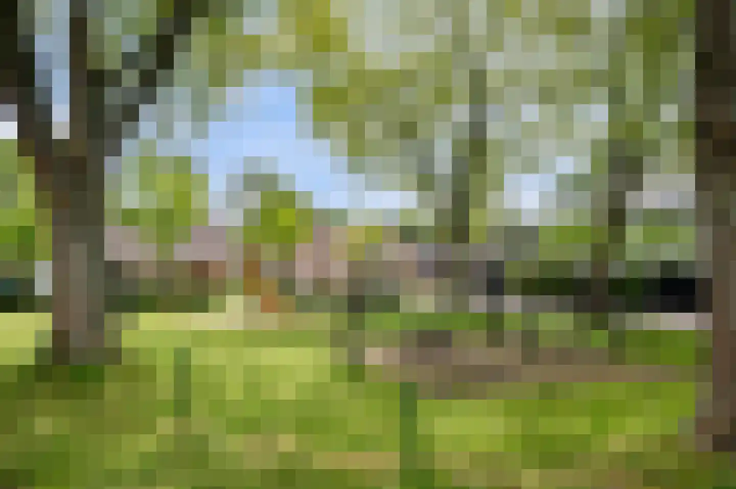 Grensstraat 37 Nispen thumbnail 17