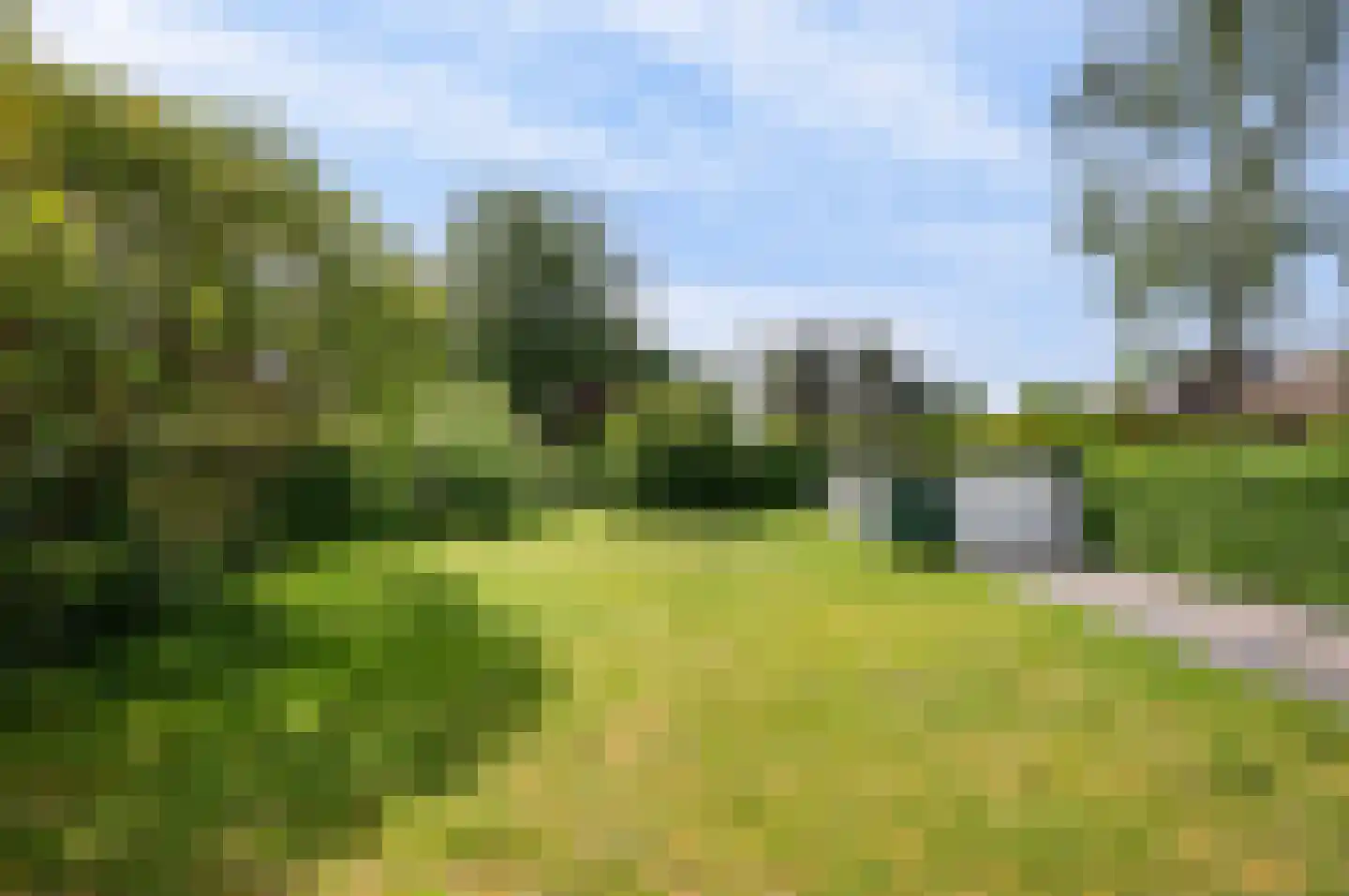 Grensstraat 37 Nispen thumbnail 8