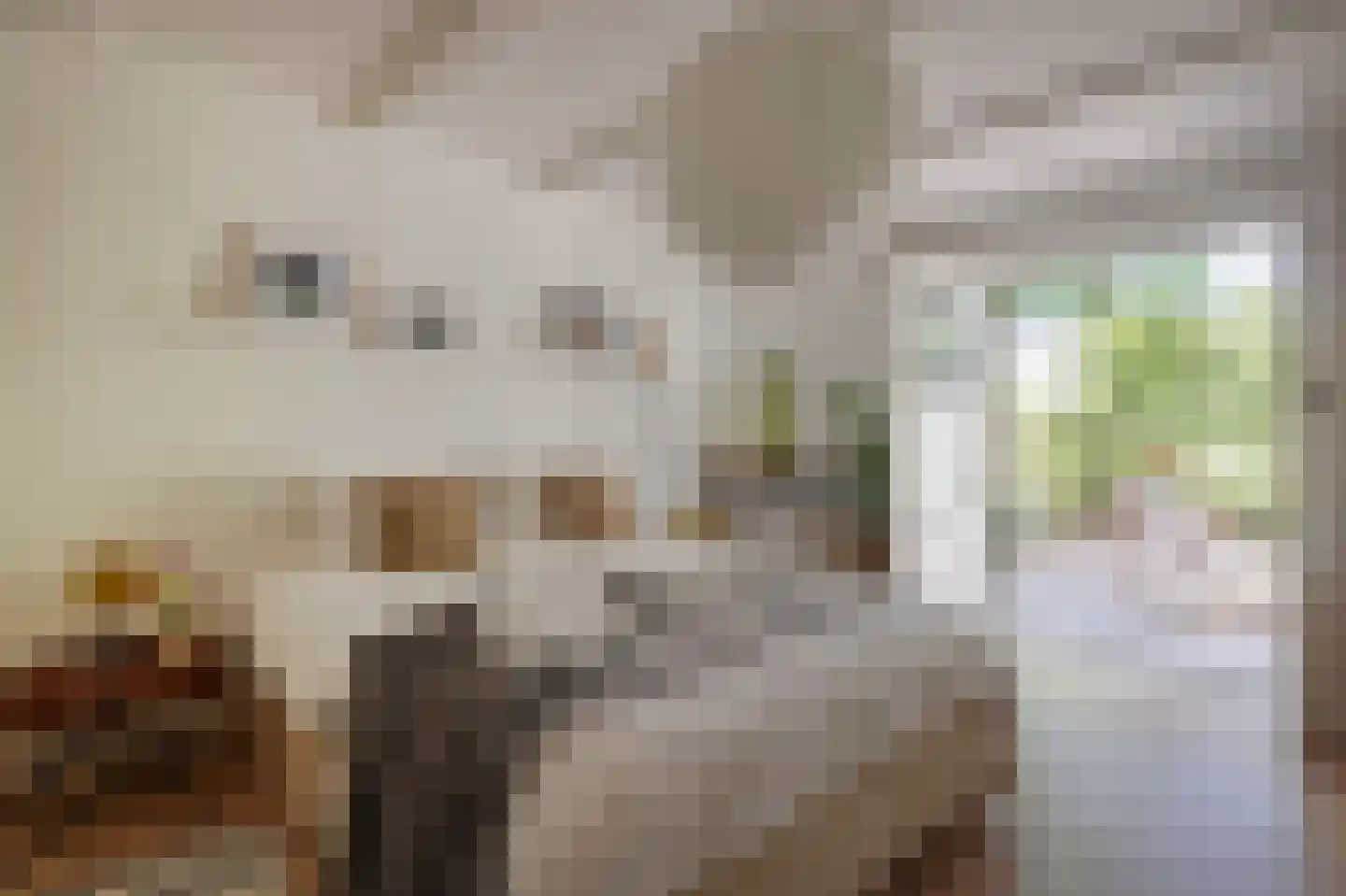 Grensstraat 43 O Amsterdam thumbnail 4