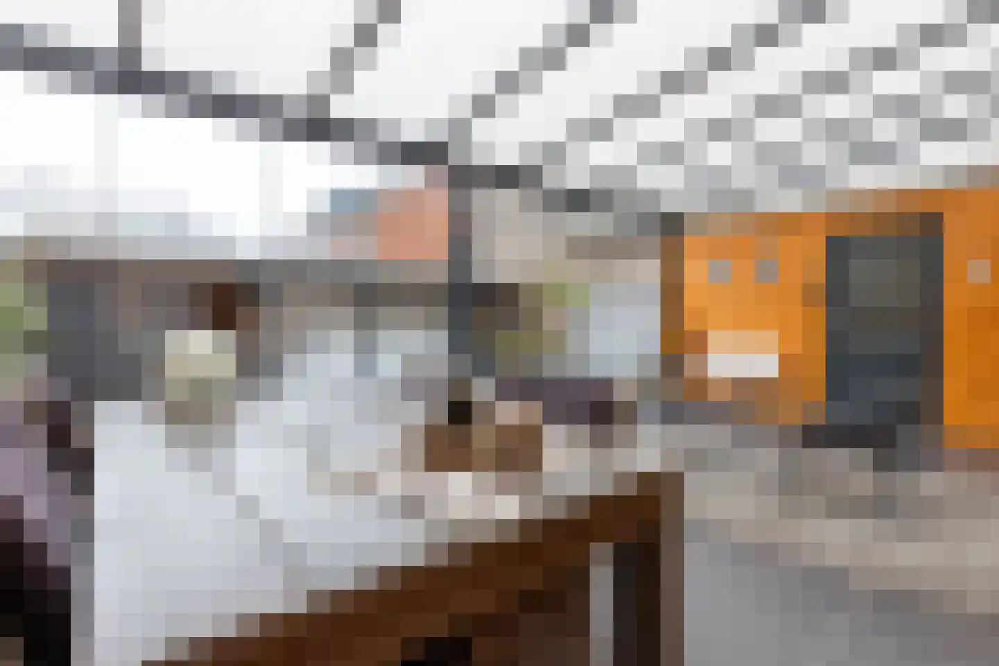 Grensstraat 45 Putte thumbnail 19