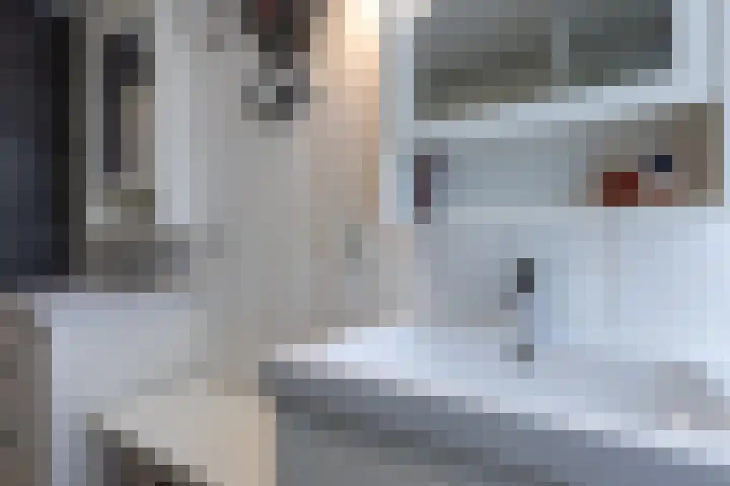 Grensstraat 45 Putte thumbnail 25