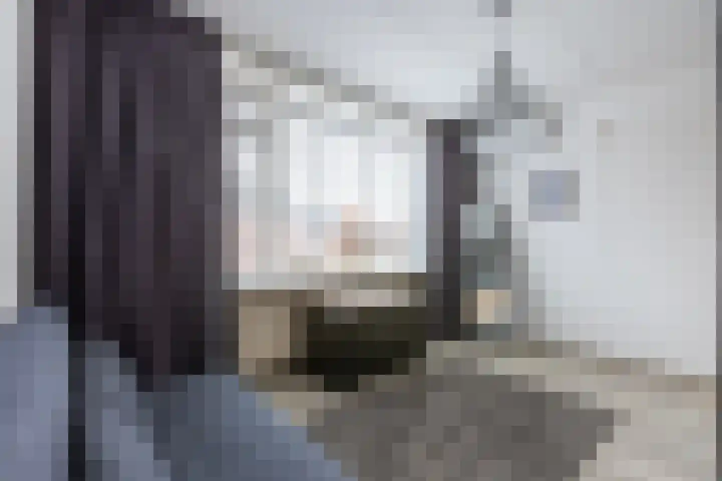 Grensstraat 45 Putte thumbnail 31