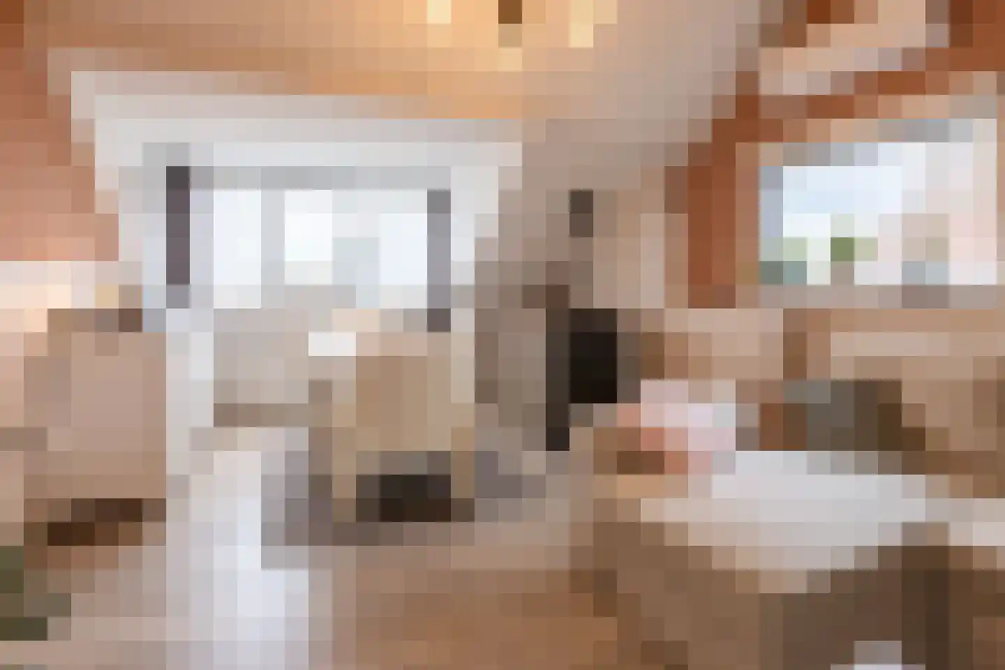 Grensstraat 45 Putte thumbnail 44