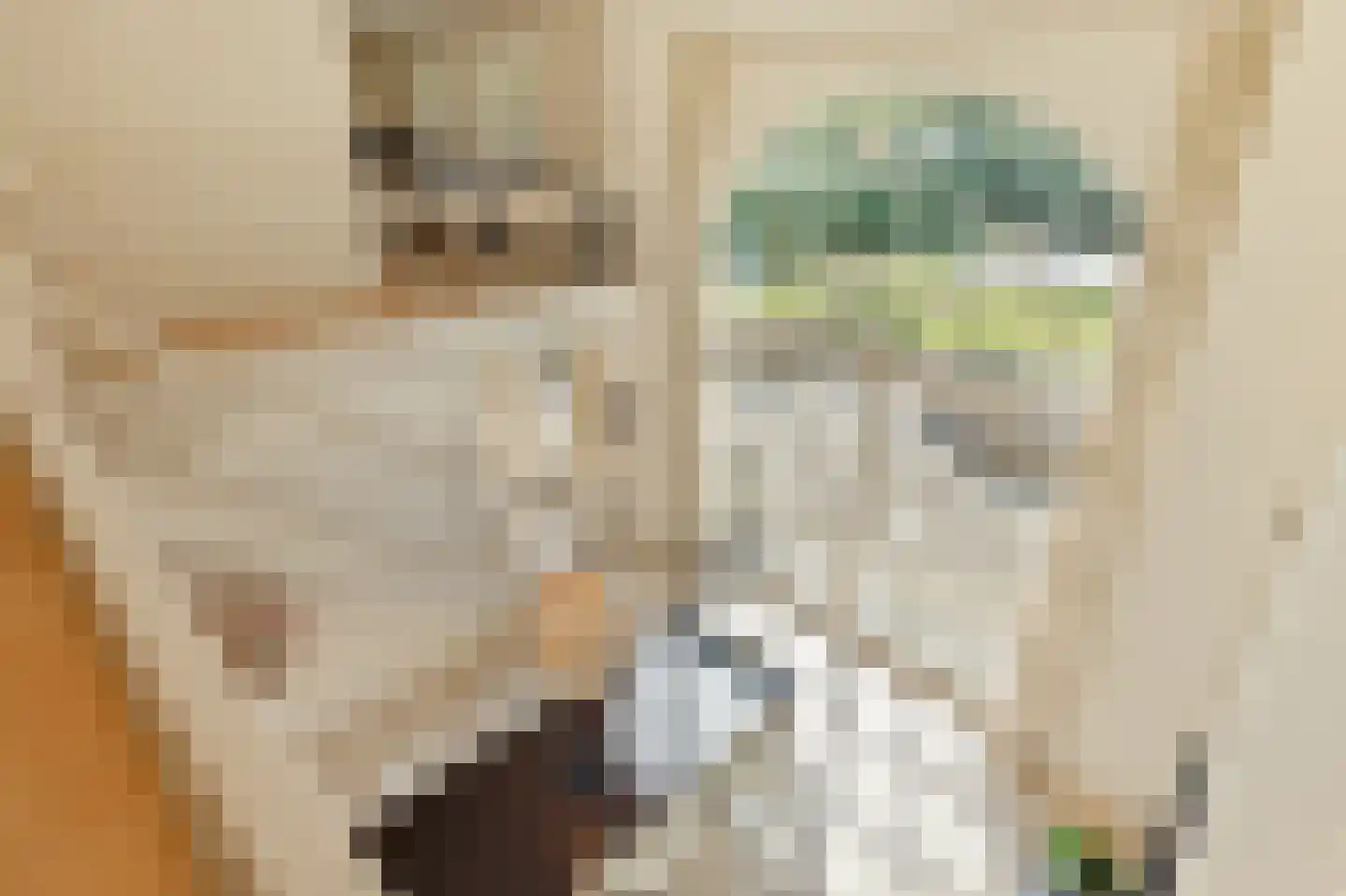 Grensstraat 5 Putte thumbnail 4