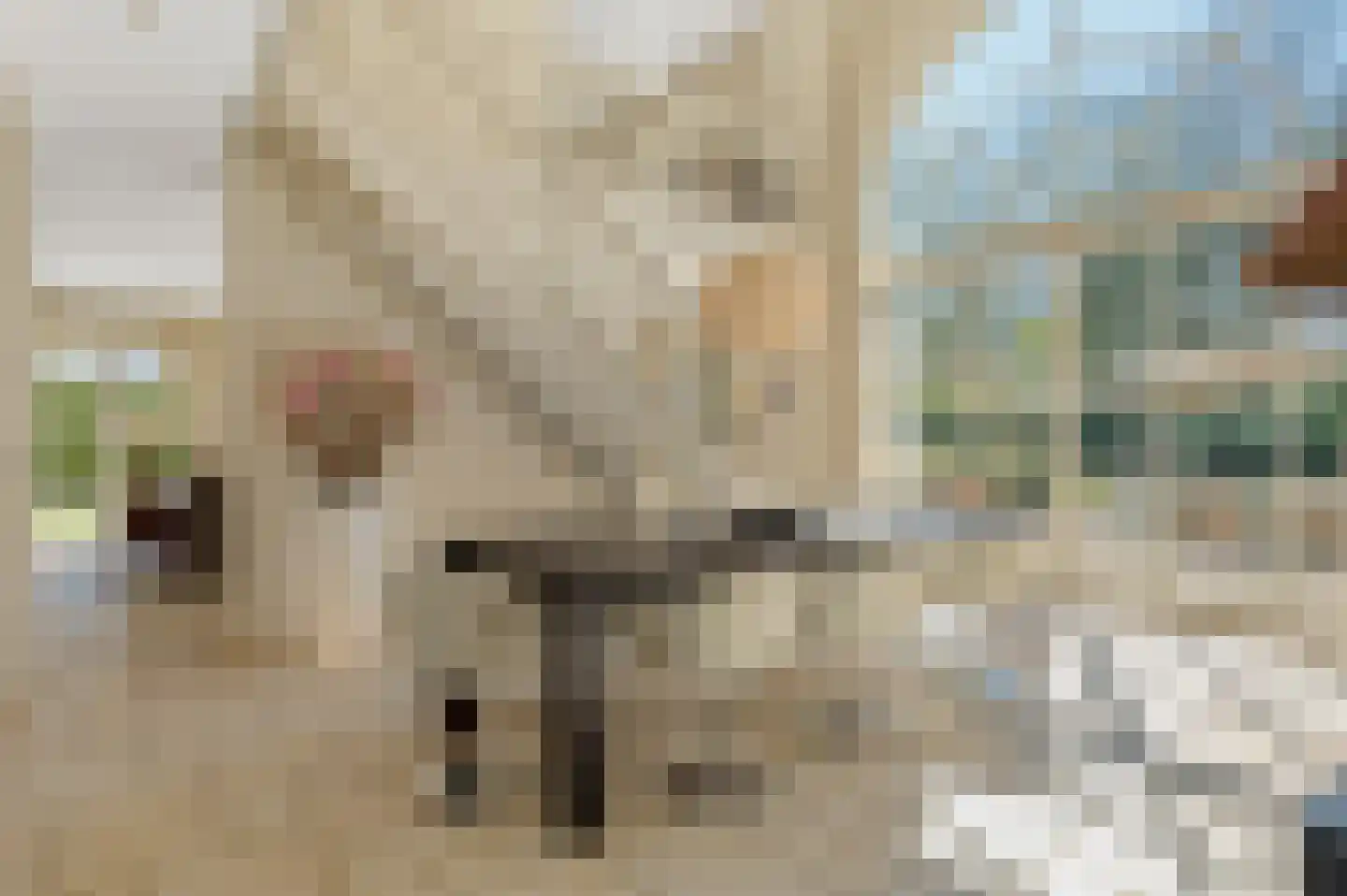 Grensstraat 5 Putte thumbnail 7