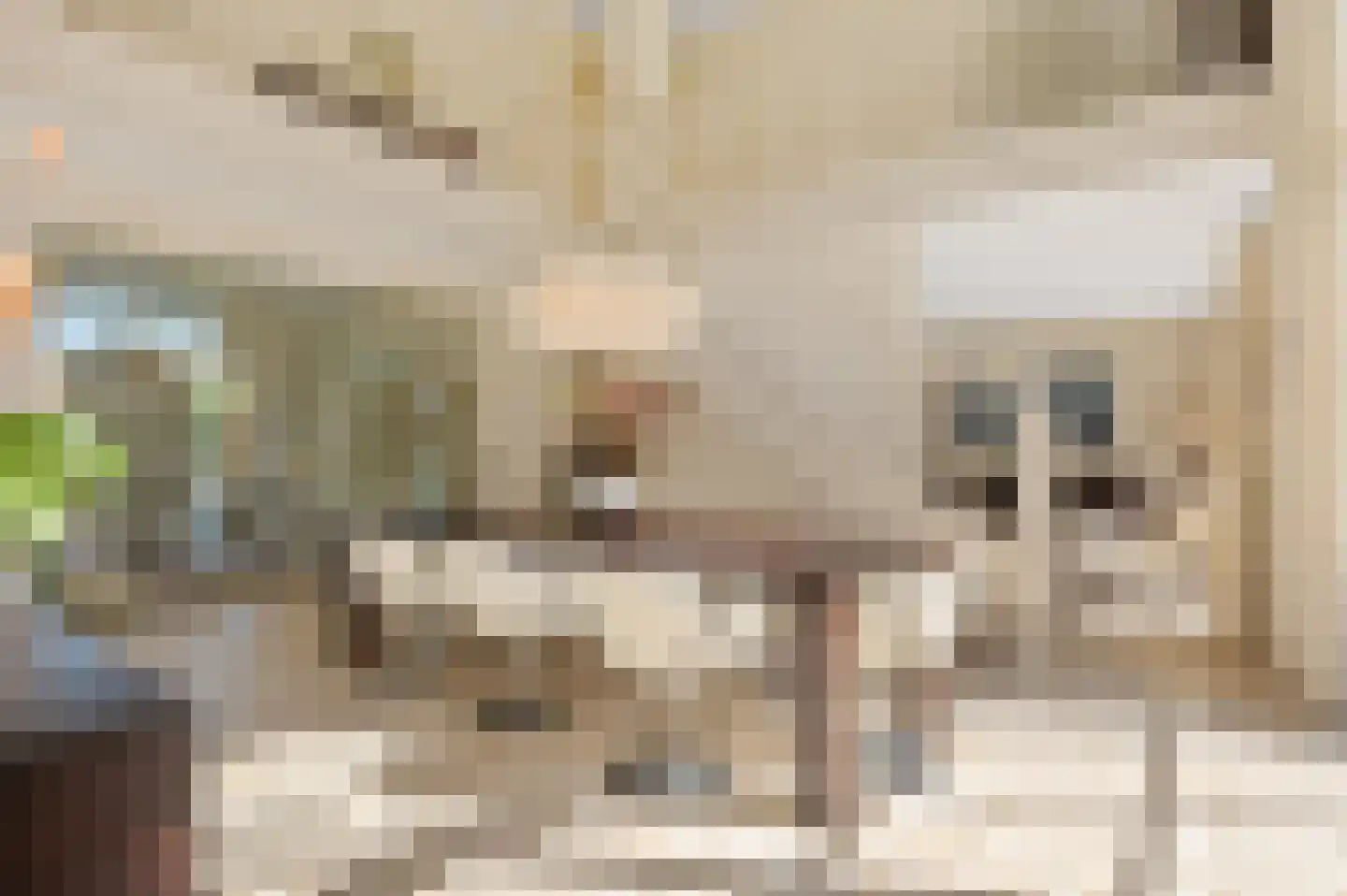 Grensstraat 5 Putte thumbnail 8