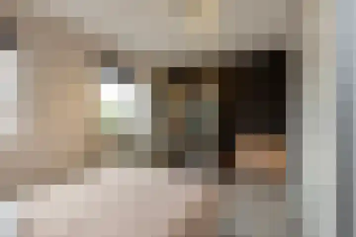 Grensstraat 52 Putte thumbnail 26
