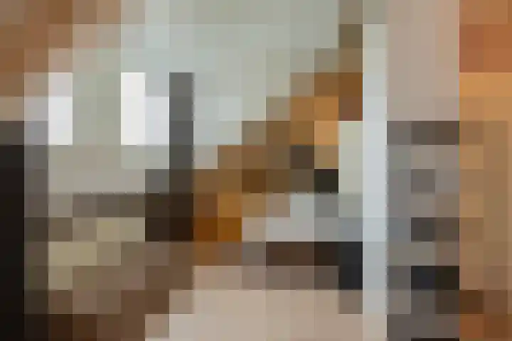 Grensstraat 52 Putte thumbnail 34
