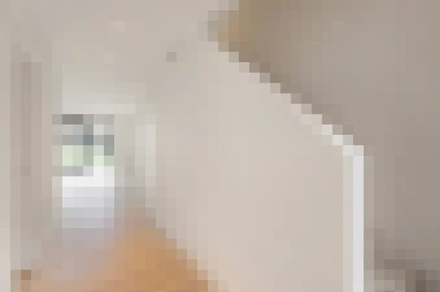 Grensstraat 8 Nispen thumbnail 6