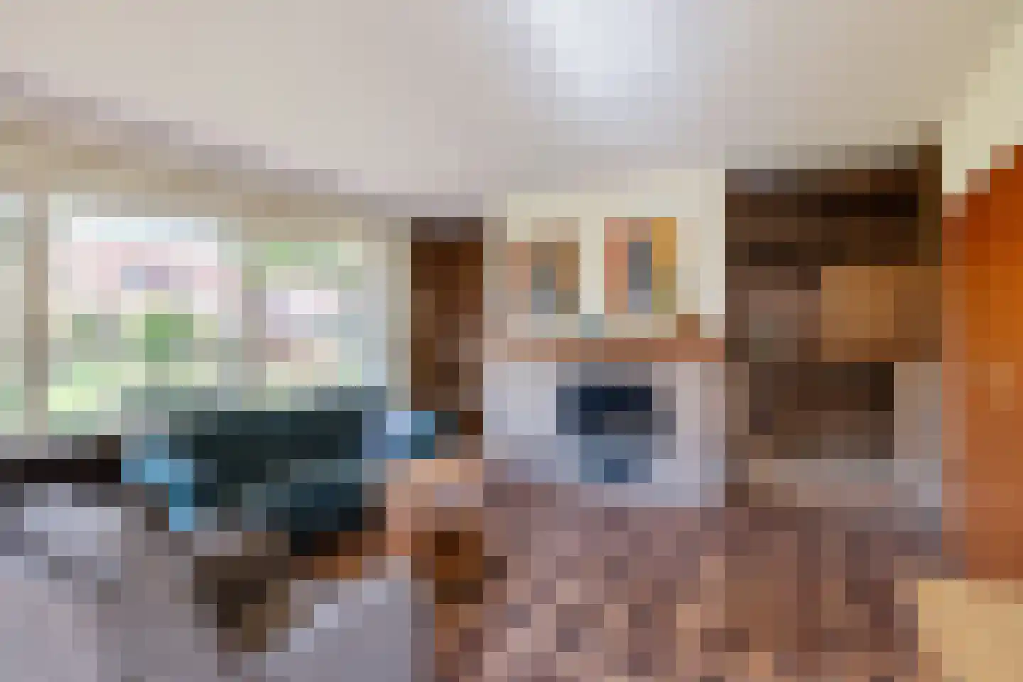 Grensweg 1 Denekamp thumbnail 16