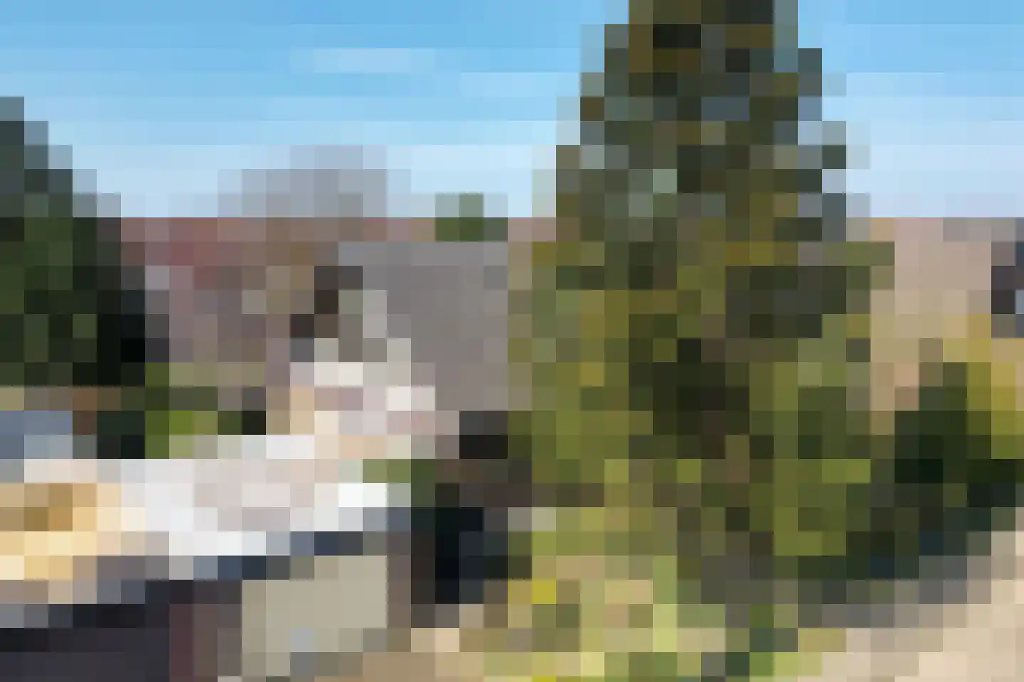 Grensweg 1 Denekamp foto 2