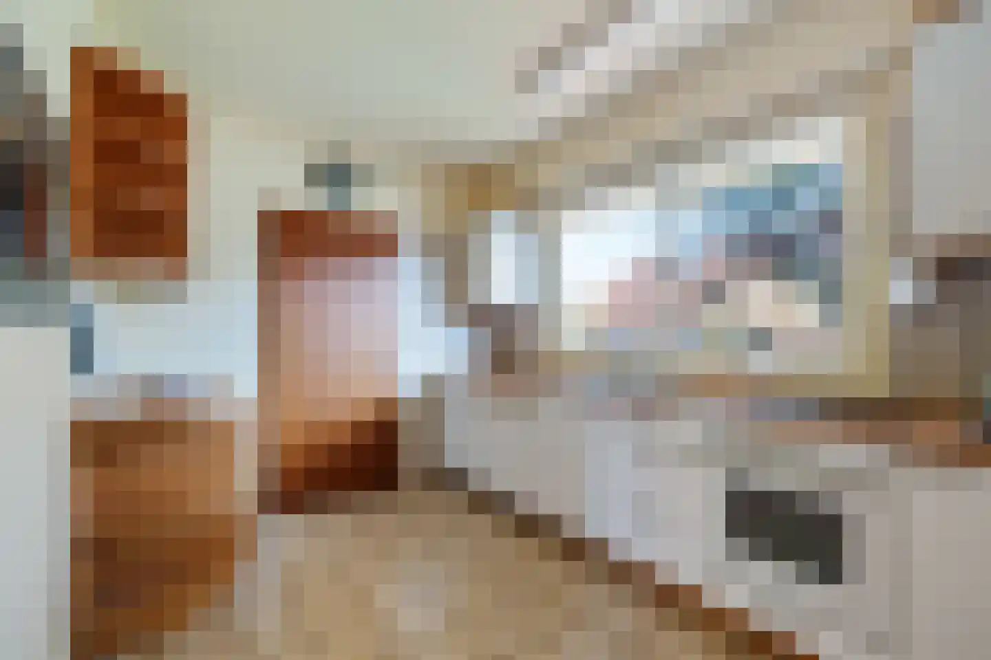 Grensweg 1 Denekamp thumbnail 20