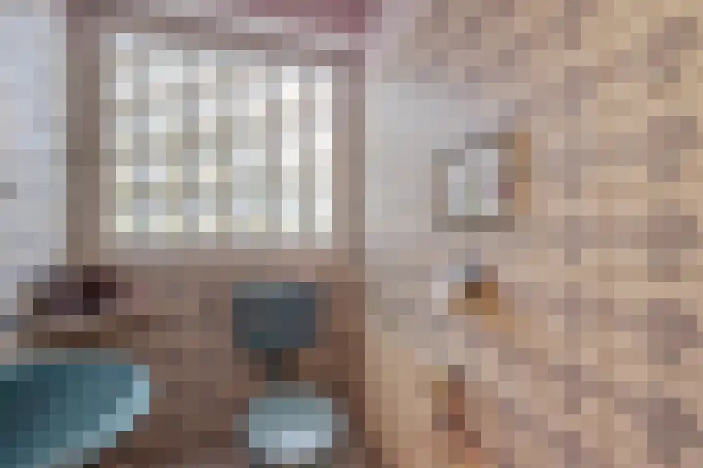 Grensweg 1 Denekamp thumbnail 25