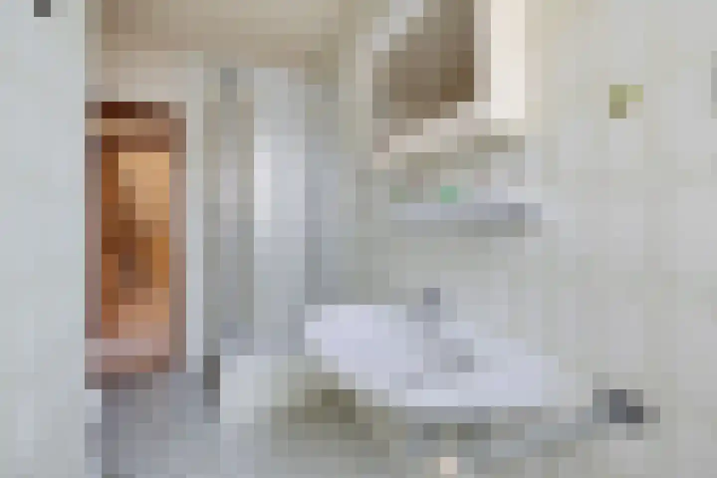 Grensweg 1 Denekamp thumbnail 39