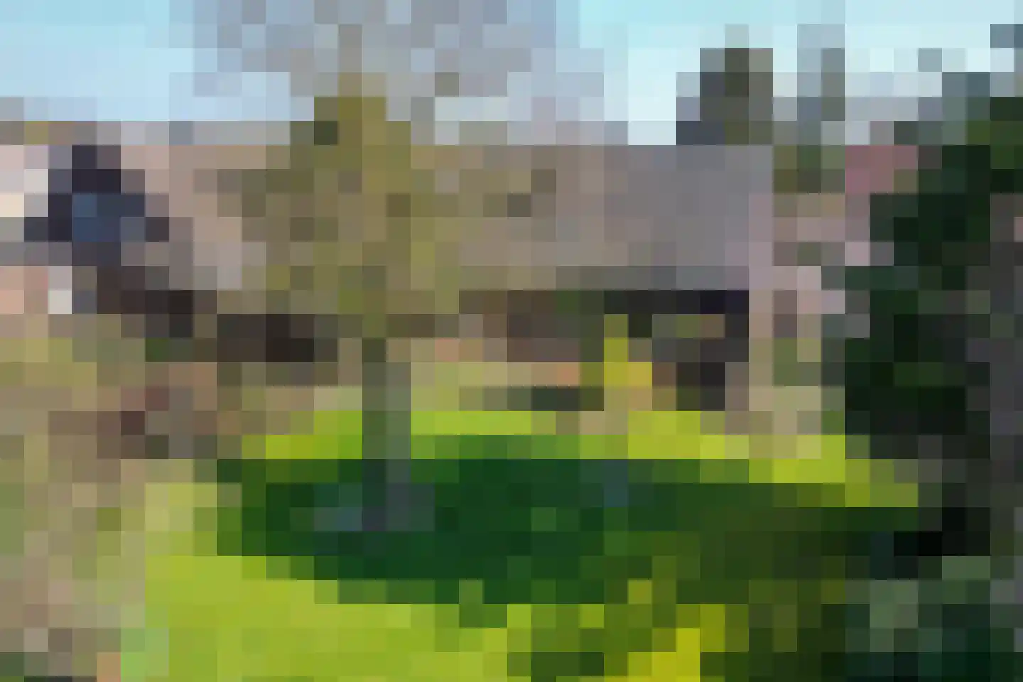 Grensweg 1 Denekamp thumbnail 4