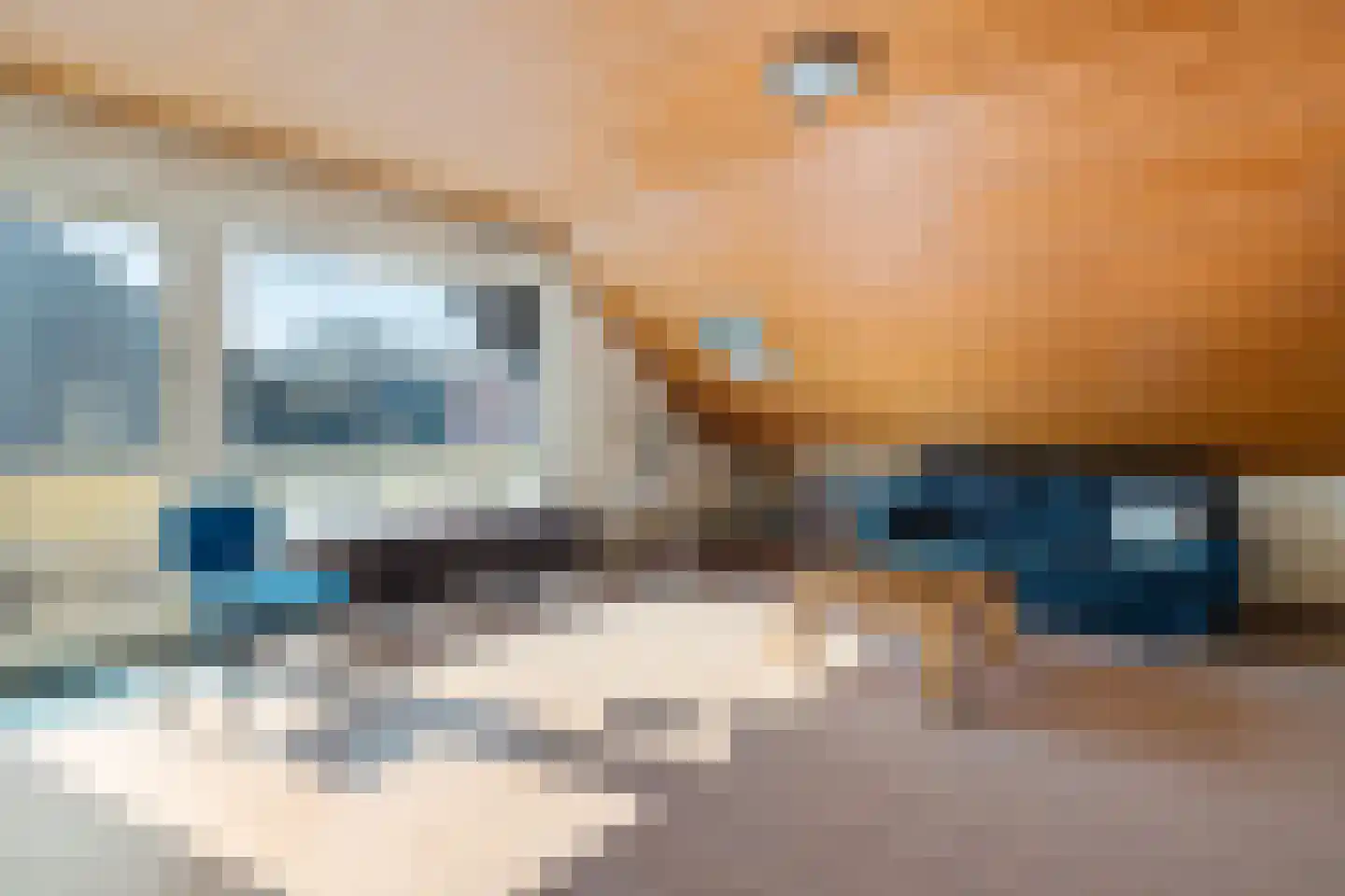 Grensweg 1 Denekamp thumbnail 40