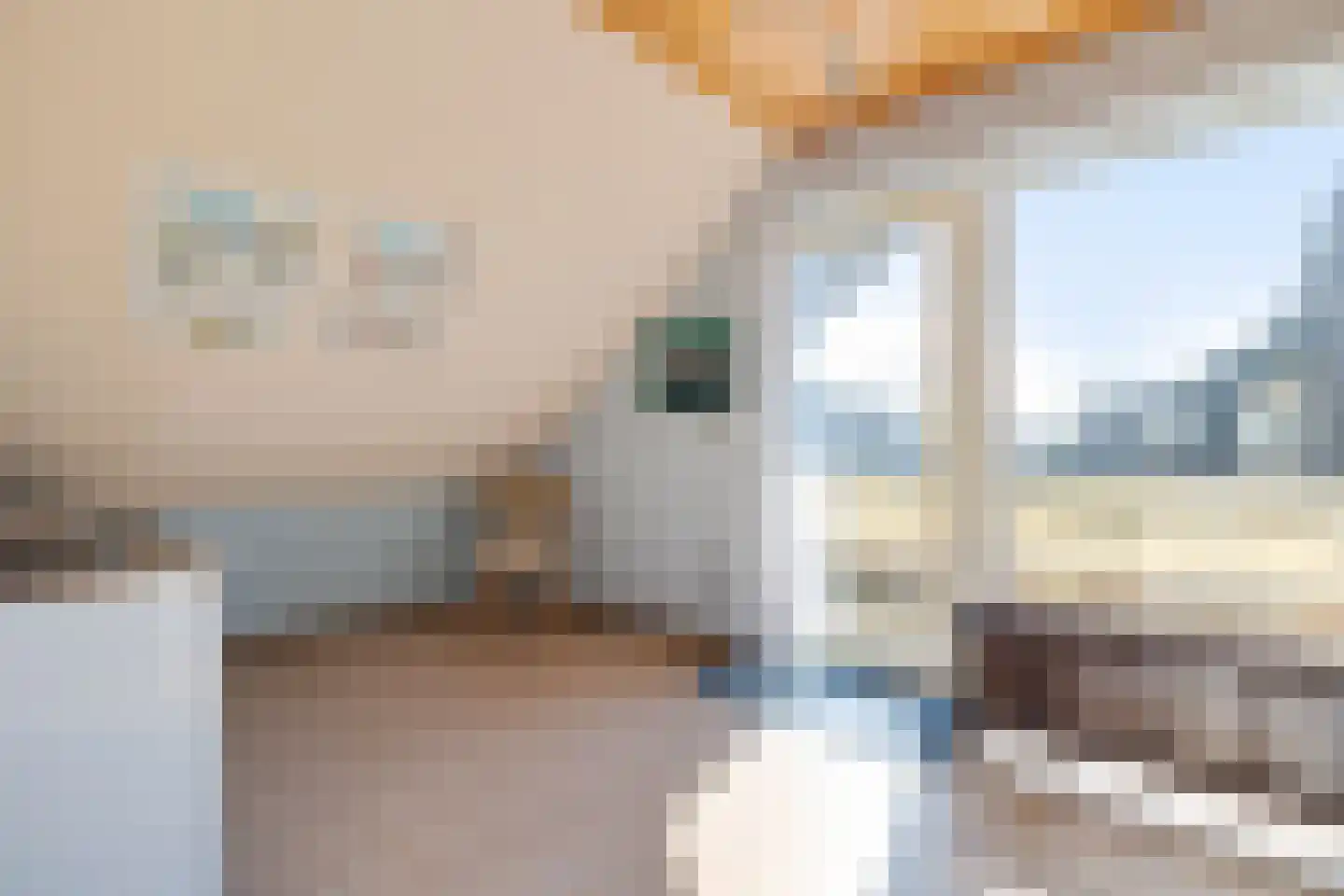 Grensweg 1 Denekamp thumbnail 42