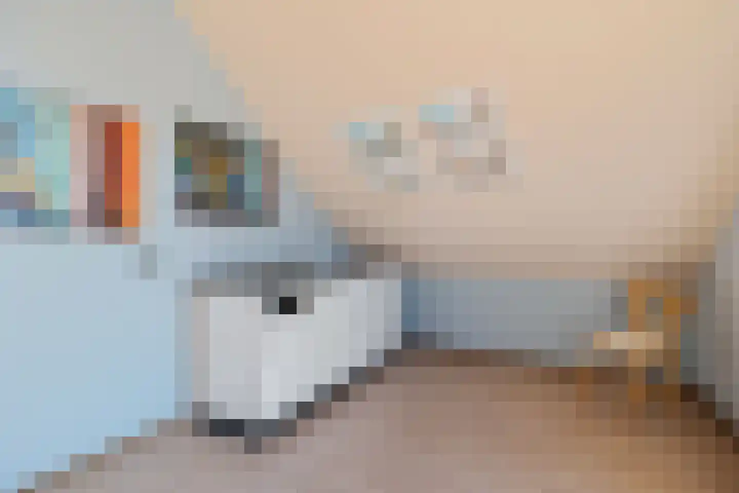 Grensweg 1 Denekamp thumbnail 43
