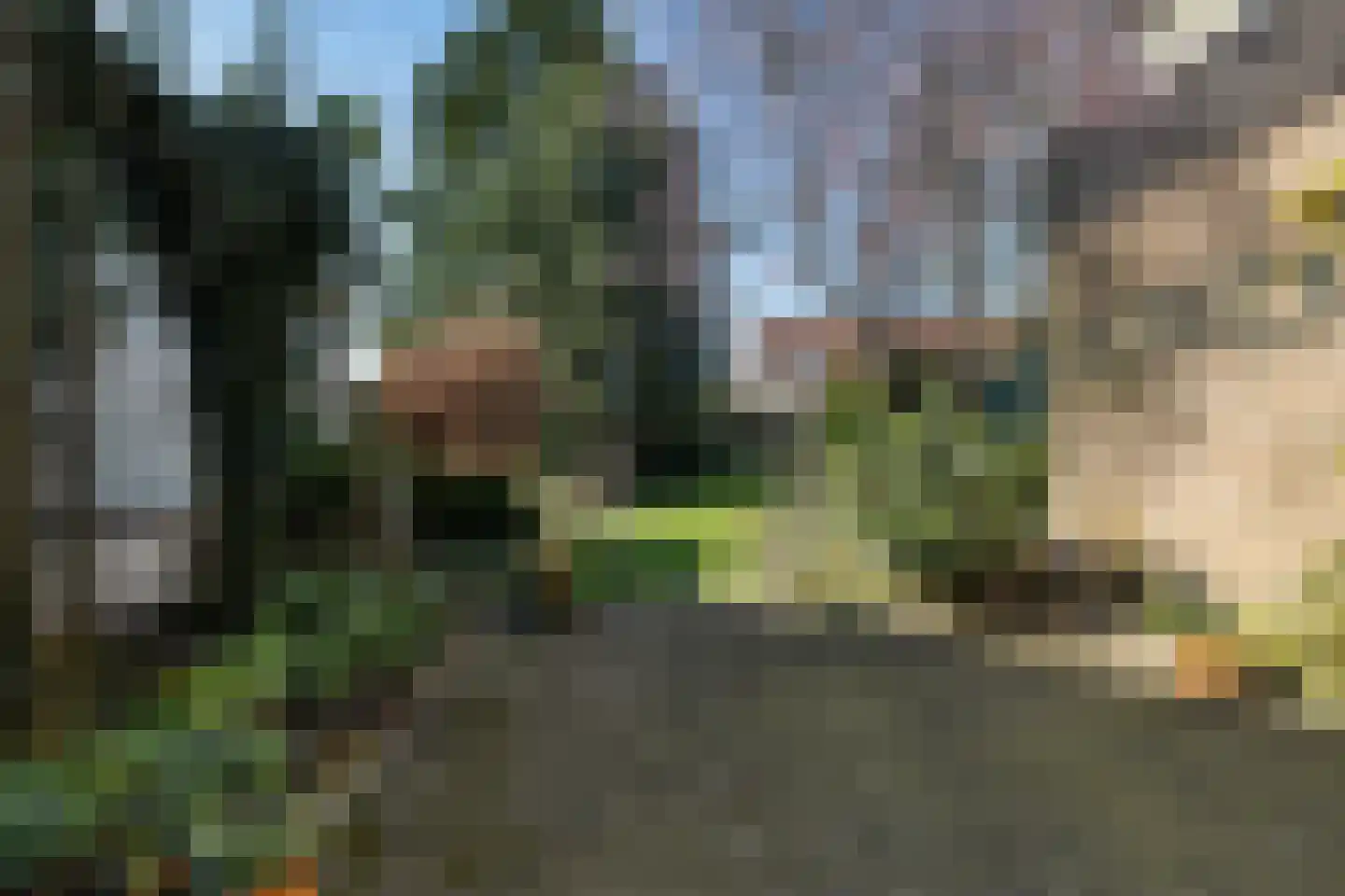 Grensweg 1 Denekamp thumbnail 46