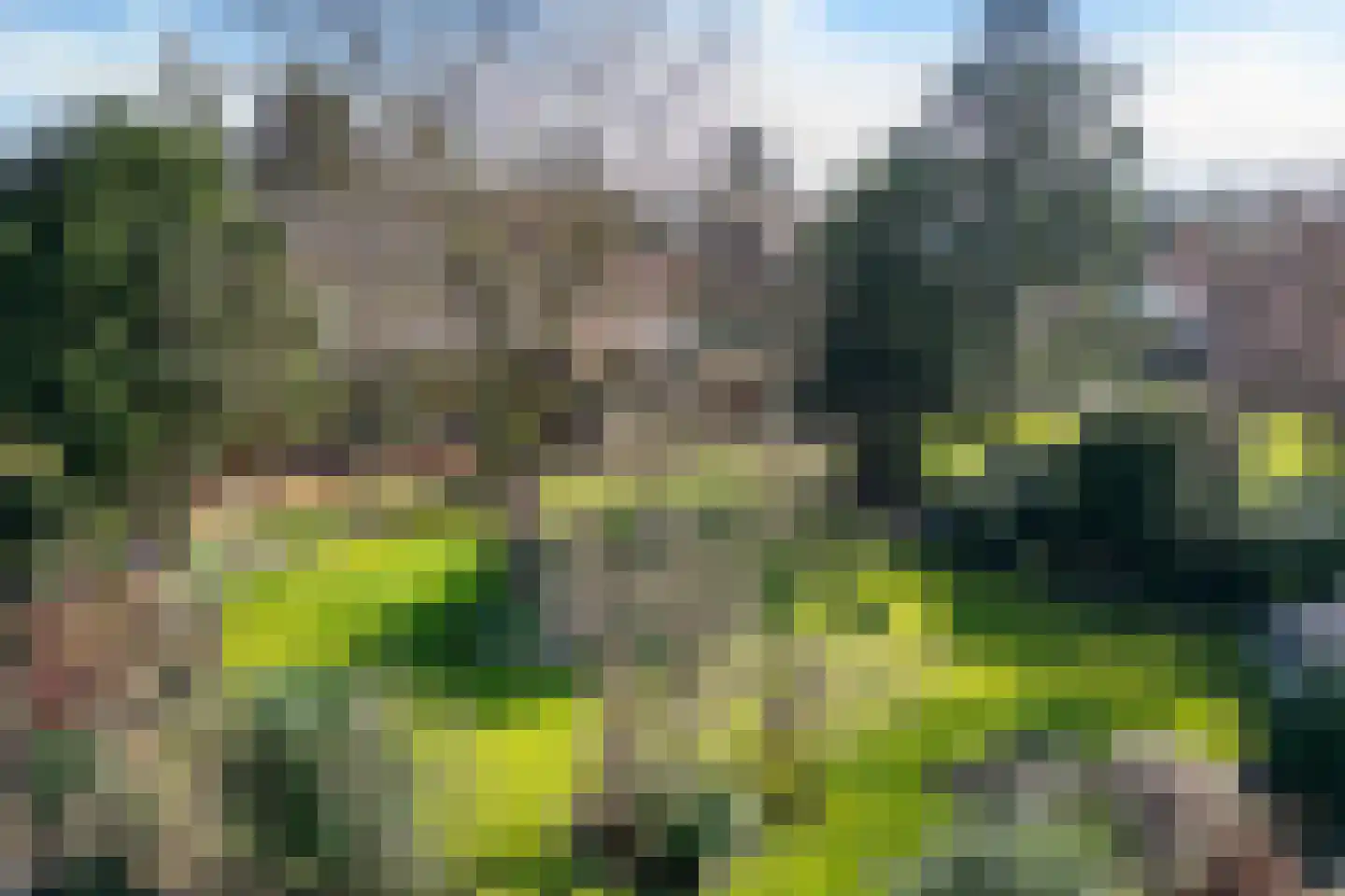 Grensweg 1 Denekamp thumbnail 5