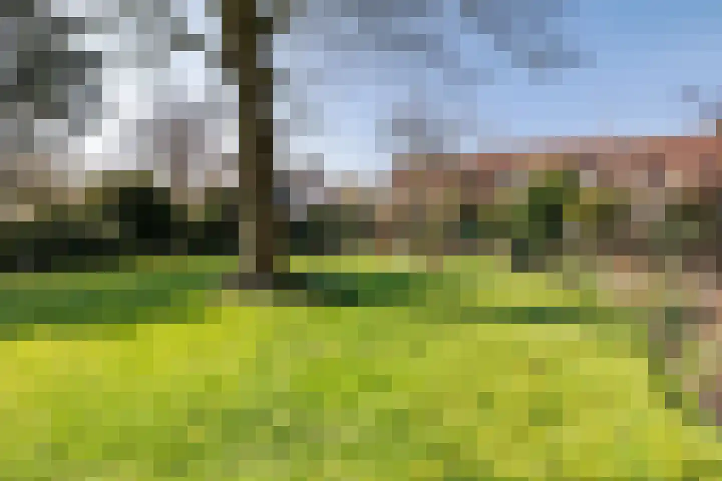 Grensweg 1 Denekamp thumbnail 53