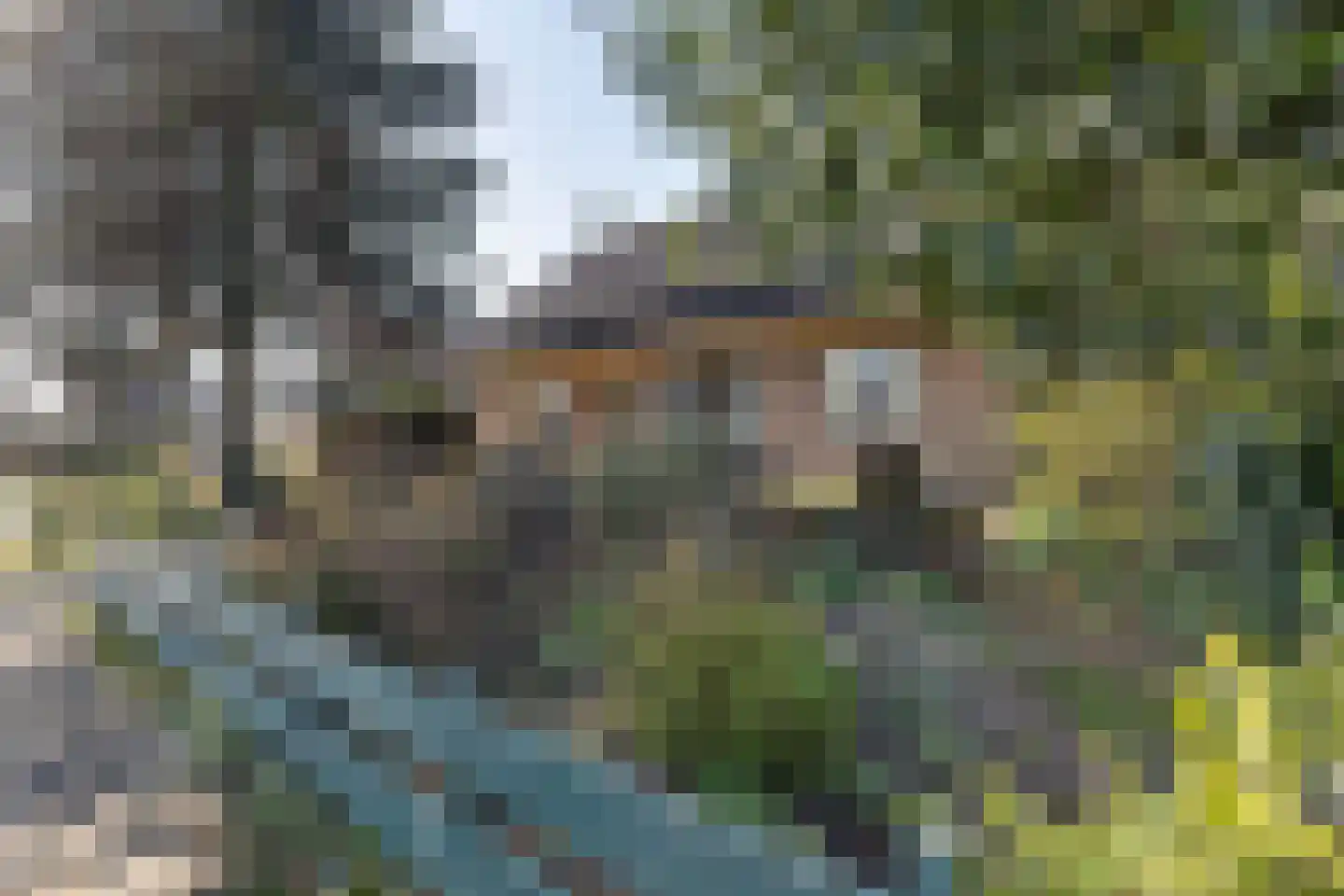 Grensweg 1 Denekamp thumbnail 7