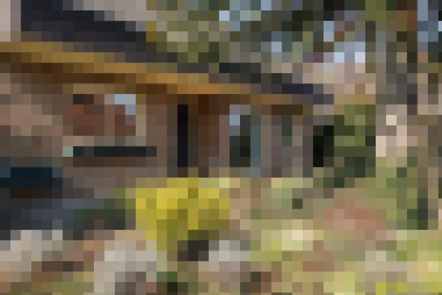 Grensweg 1 Denekamp thumbnail 9